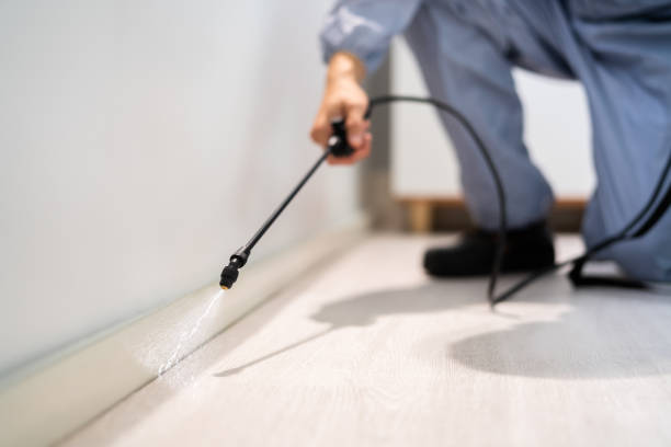 Rodent Entry Point Assessment in Palm Bay