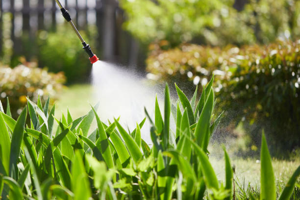 Tamper-Resistant Bait Stations for Rodents in Palm Bay