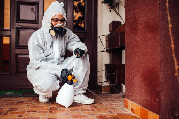 Attic and Crawl Space Rodent Treatment in Palm Bay