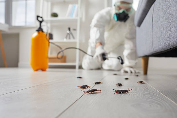 Commercial Rodent Management in Palm Bay
